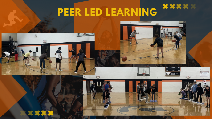 peer led learning